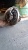 �������� ������� ����� Daewoo Novus 39�7�18 ����.���. �/��� 18 ��. �����. 16 ��.