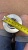 ������ �������������� KS1256 d=30* d=60* L=200* (���� � ��������) 