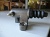 ������� ��������� ������� Kia Rhino