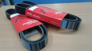 ������ 8PK1150 Daewoo Ultra Novus, �������� Daewoo BH-117, Daewoo 120-F, Daewoo FX, Daewoo BX  