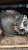 �������� ������� ����� Daewoo Novus 39�9�14 ����.���, �/��� 64 ��, �����. 20 ��. 
