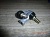 ���������� ������ Daewoo Novus ������ �10 ����� ������ R14 