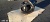 �������� ������� ����� Daewoo Novus 39�8�18 ����. ���, �/��� 18 ��. �����. 16 ��. 
