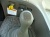 ������ Daewoo Novus DL08 ������ �������������