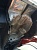 ���������� ������ Daewoo Novus � �������������