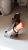 ������� ���� Soosan SCS736,746, DongYang SS1926,1406,1506,2036,2037,KS2056